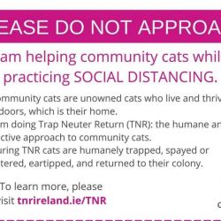 Please Do Not Approach TNR