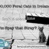 FCI 200000 Cats in Ireland