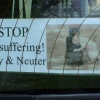 FCI Stop the Suffering