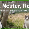 FCI Trap Neuter Return
