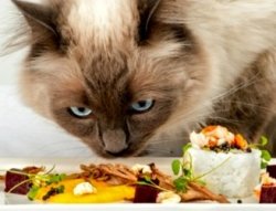 Newstalk 12th August