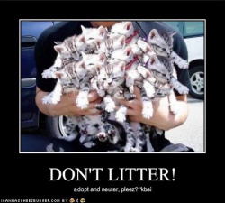 Don't Litter