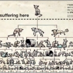 Cat Pyramid ISPCA Spay Drive