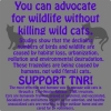 Support TNR