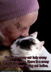For every crazy cat lady crazy about loving cats, there is a crazy cat crazy about loving cat ladies.