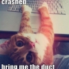 Fix it cat to the rescue