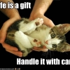 Life is a Gift