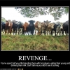 Revenge