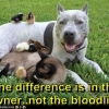 The difference is in the owner, not the bloodline
