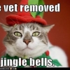 The vet removed my jingle bells