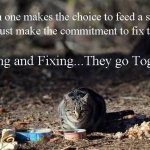 Feeding and Fixing go together