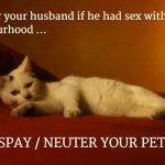 You'd neuter your husband