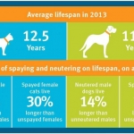 Lifespan from SpayAware