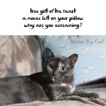 Haiku by Cat