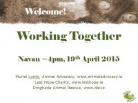 Working Together - Athlone & Navan