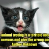 Animal testing is a terrible idea