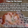 Paws for the Cause