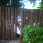 Setting Traps in Glengarriff