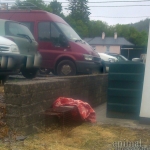 Setting Traps in Glengarriff