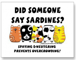 Did Someone Say Sardines?
